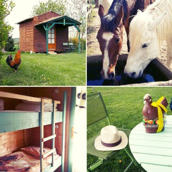 Готель Ferme Equestre Les Chevaliers Penol Екстер'єр фото