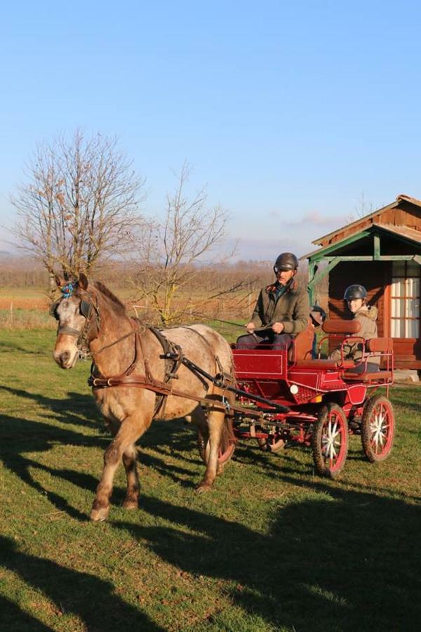 Готель Ferme Equestre Les Chevaliers Penol Екстер'єр фото